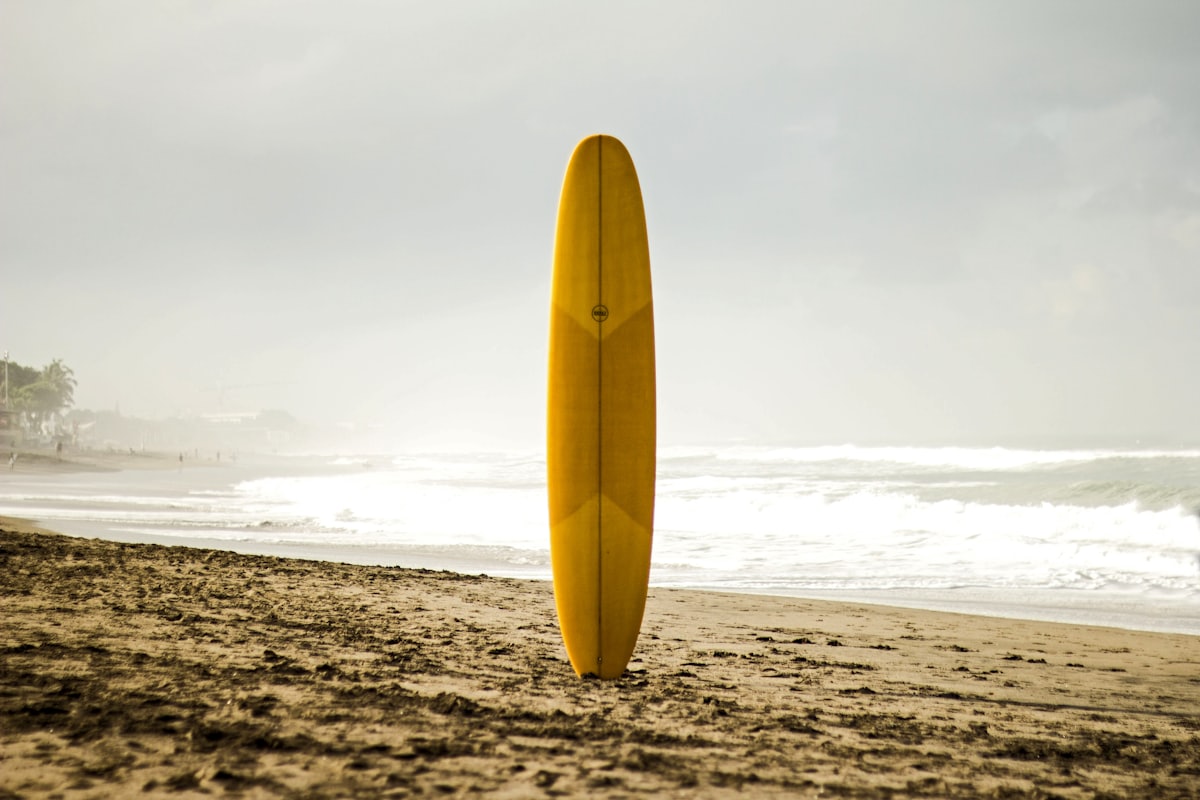 Longboard standing on the beach